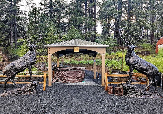 Photo of 93 Main St, Greer, AZ