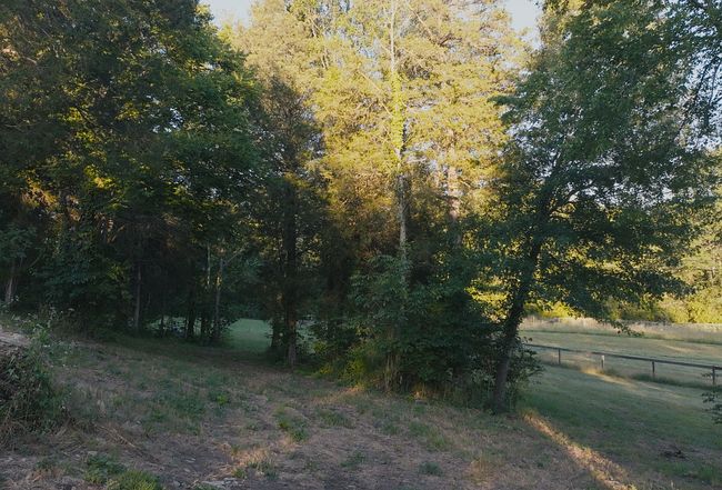 Image of 2520 Knob Creek Rd
