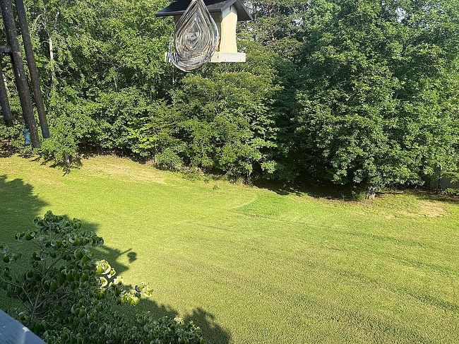 Photo of 902 Campfire Point, Dandridge, TN