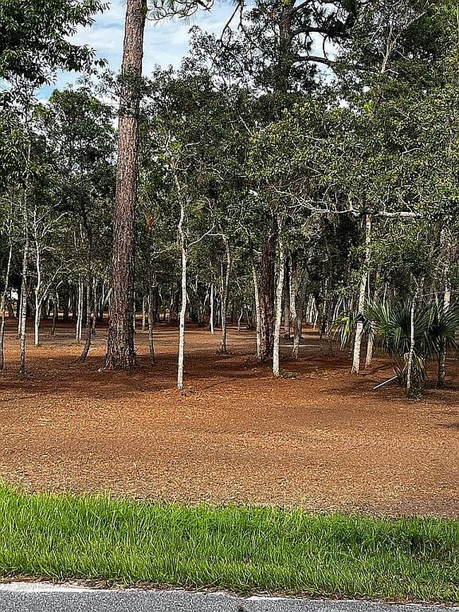Photo of 6957 S Sonata Ave, Homosassa, FL