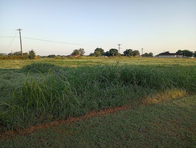 Photo of 5156 County Road 3211, Lone Oak, TX