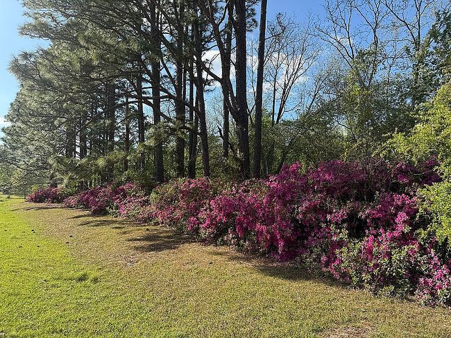 Photo of 3333 John Small Ave, Washington, NC