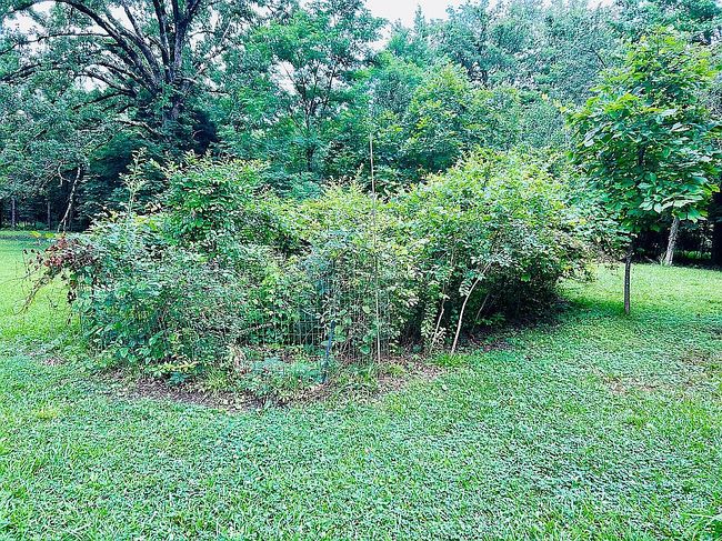 Photo of 40 County Road 170, Tishomingo, MS