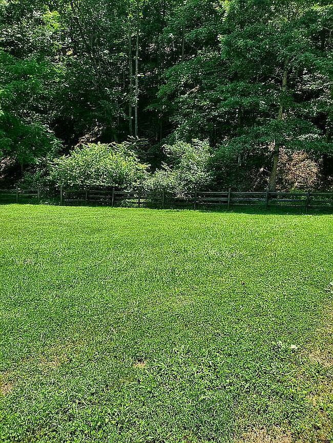 Photo of 437 Still House Hollow Rd, Saltville, VA