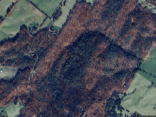 Image of 0 Deerhead Rd