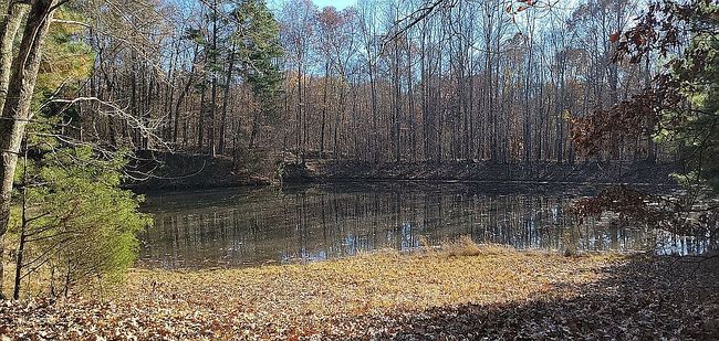 Image of Workman Cemetery Rd