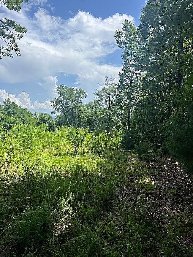 Photo of 0 Carter Mountain #28, Hays, NC