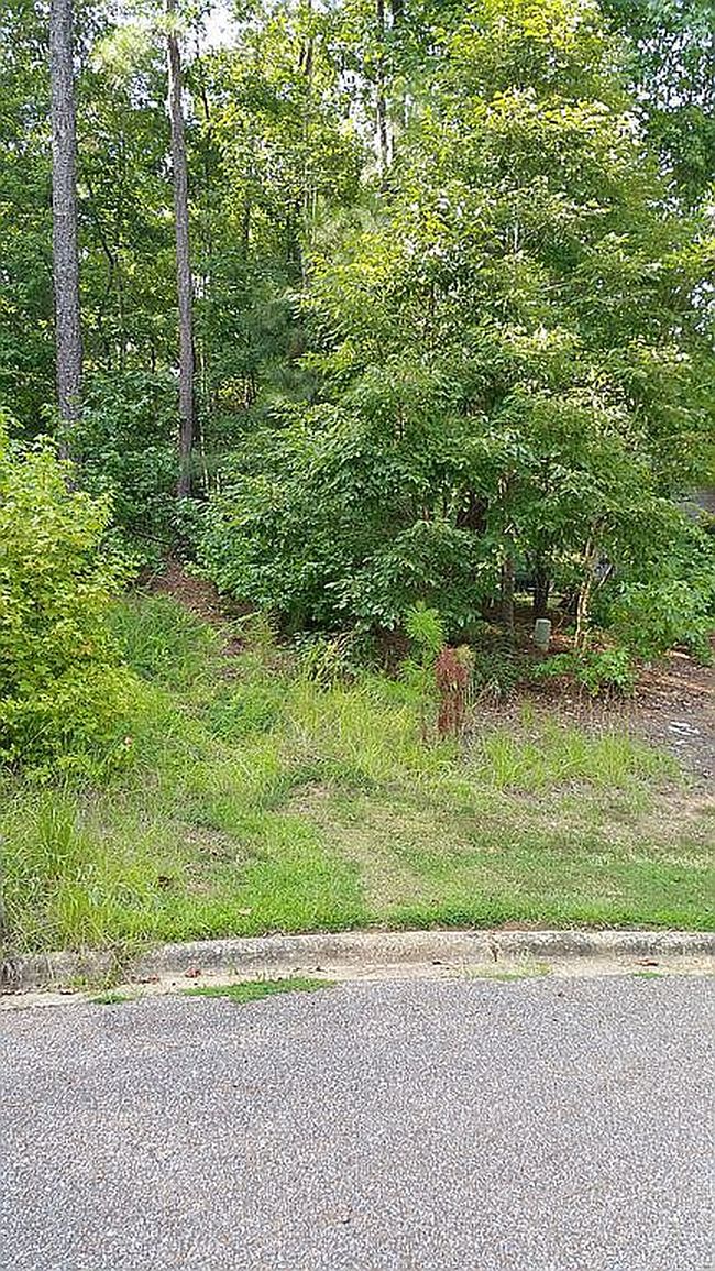 Photo of 80 Woodhill Trce, Wetumpka, AL