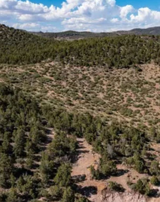 Image of 380 Butch Cassidy Cir