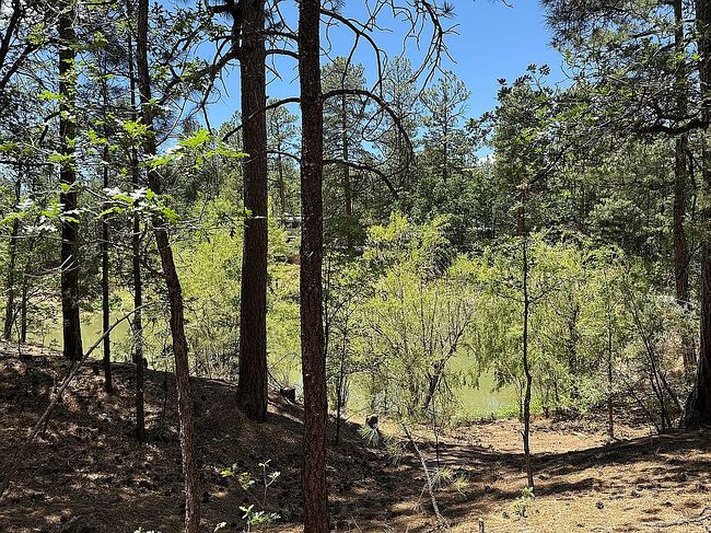 Photo of 6886 Forest Ave #6, Lakeside, AZ
