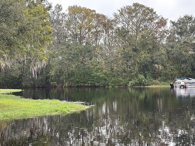 Image of 1206 Cypress Cove Ct #11