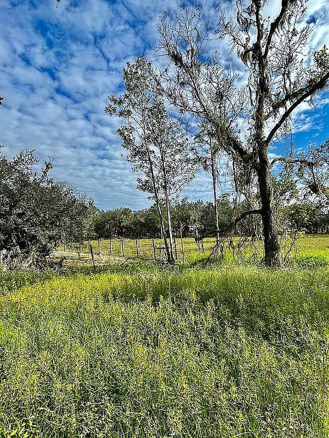 Image of 256 Old State Road 8