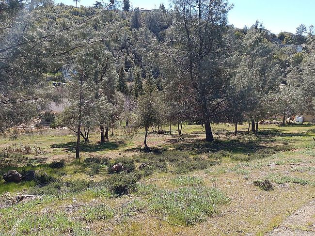 Image of 10155 El Capitan Way