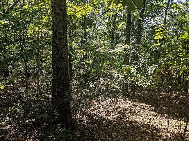 Image of Cherokee Pl