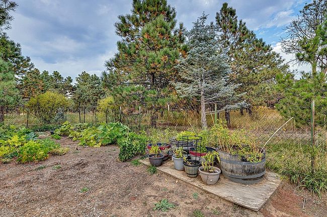 Image of 17815 Saddlewood Rd