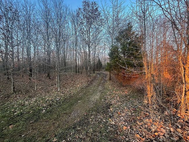 Image of 101 Doerner Rd