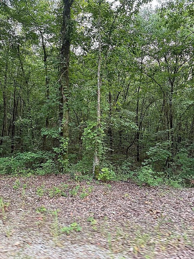 Photo of 0 Staples Hollow Rd Se, Falkville, AL