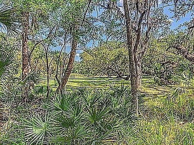 Image of 13505 Wild Citrus Rd