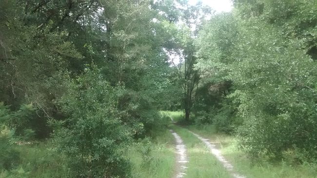 Image of 15422 Redbird Road