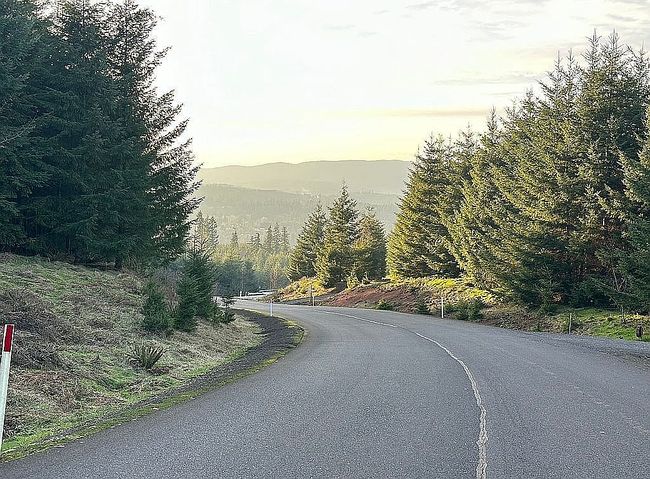 Preview of property located at 124 Timberline Dr