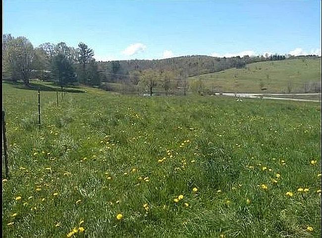Photo of 311 Bush Rd, Cooperstown, NY