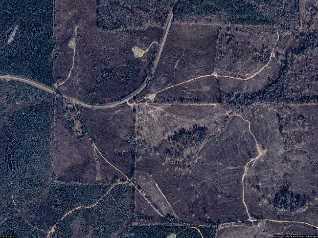 Image of County Road 54