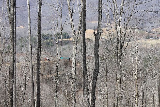 Image of 448 Reed Martin Dr