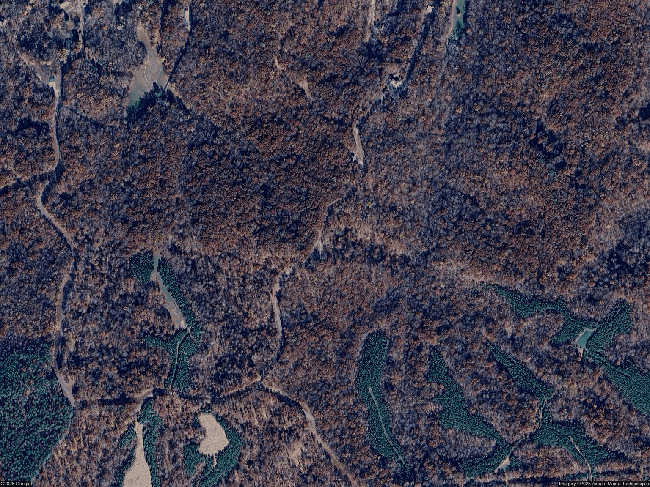Photo of 226 Skip Jack Ln