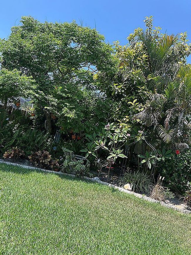 Photo of 9617 Greenbank Dr, Riverview, FL