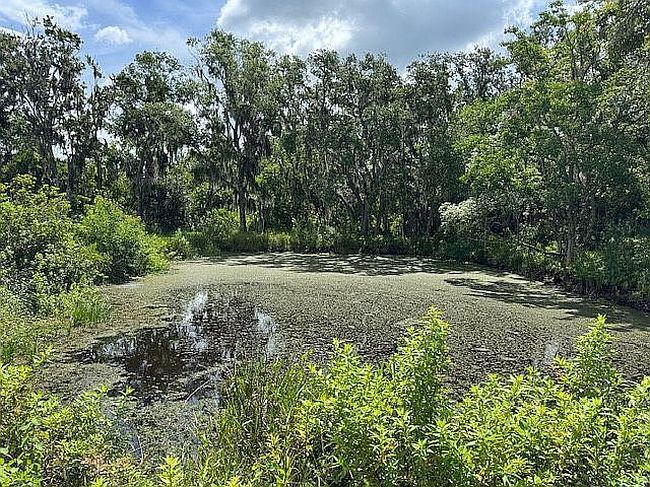 Photo of 6406 Bob Head Rd, Plant City, FL