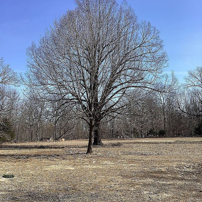 Image of 144 Woods Point Rd