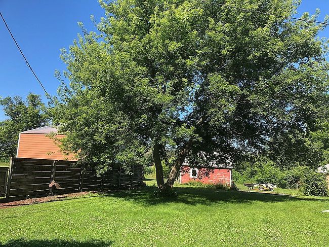 Image of 801 10th St S