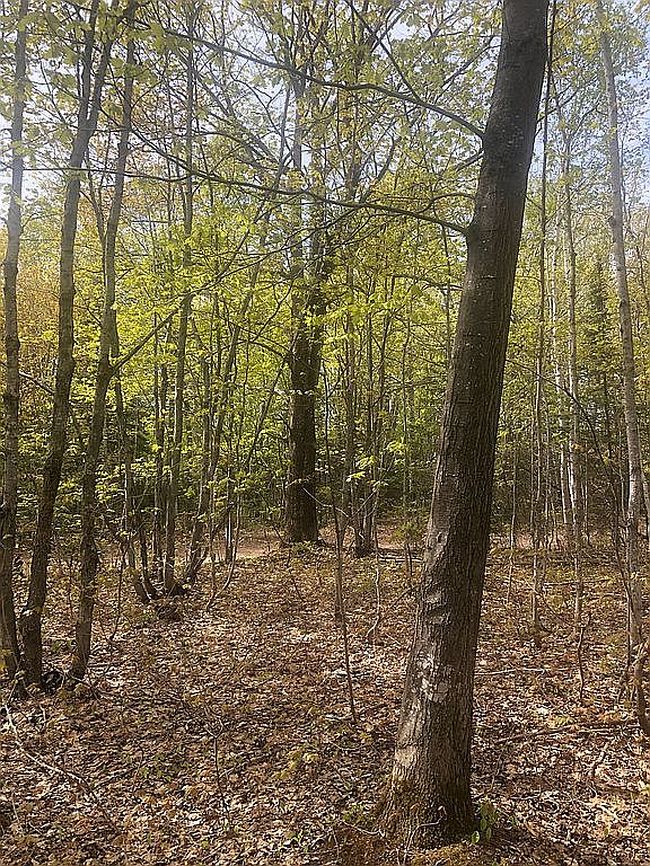 Image of Tecumseh Rd