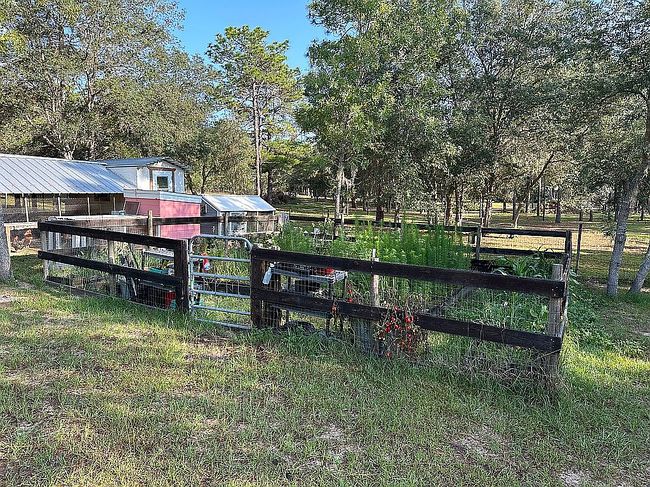 Photo of 11648 S Rural Ter, Floral City, FL