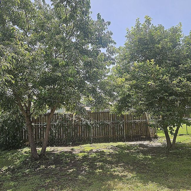 Photo of 308 Woods Dr, Gatesville, TX