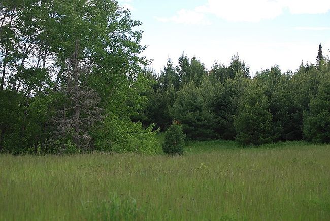 Photo of 65Xb Locust Rd, Duluth, MN