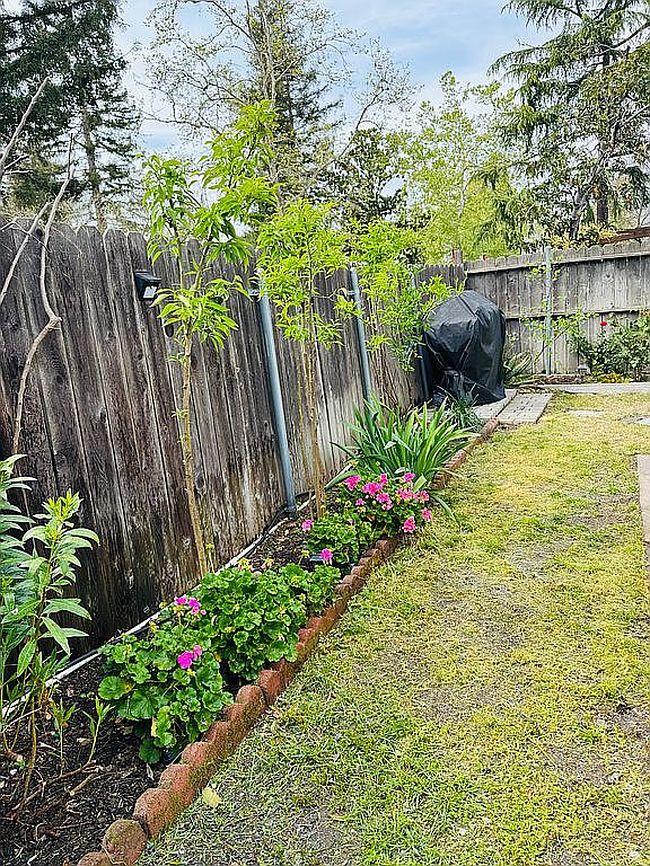 Image of 2436 Rashawn Dr