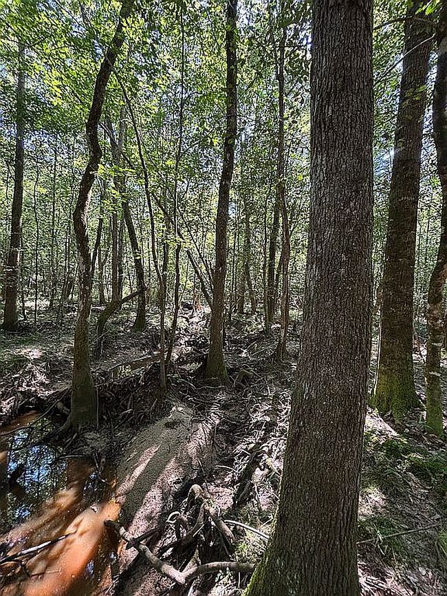 Photo of 436 W State Line Rd, State Line, MS
