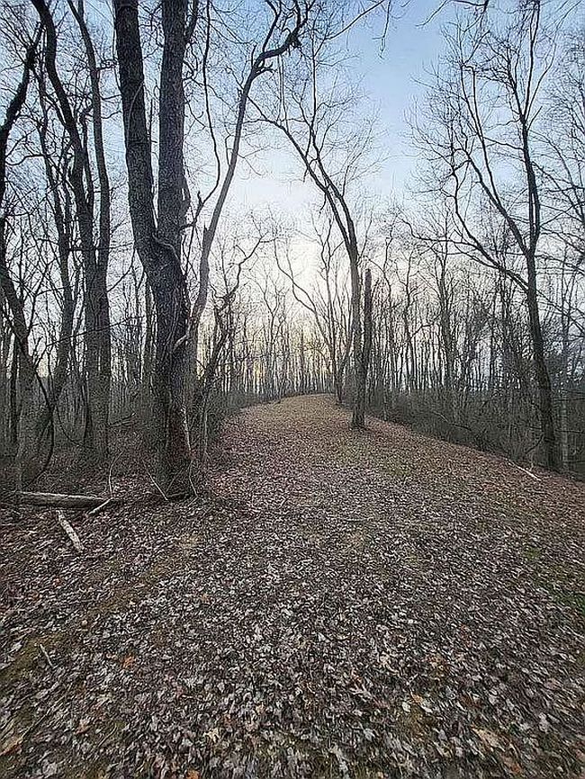 Image of 0 Saddletree Ave Lot Ww