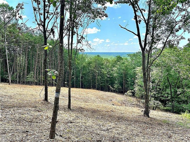 Image of 102 Long View Ct