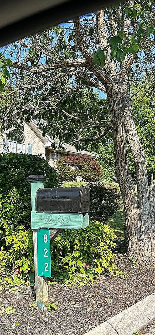 Image of 822 Osprey Dr