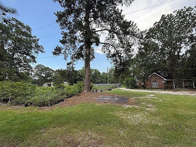 Photo of 21 Forest Dr, Forest Hill, LA