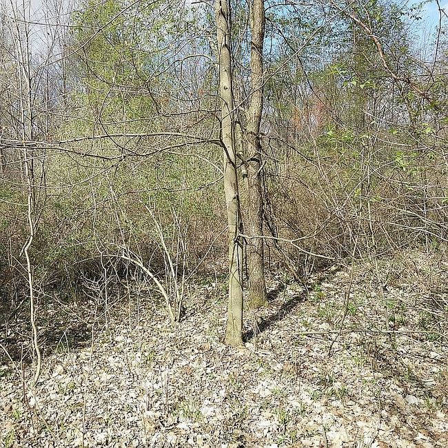 Photo of 2733 N Somerset Rd, Pittsford, MI