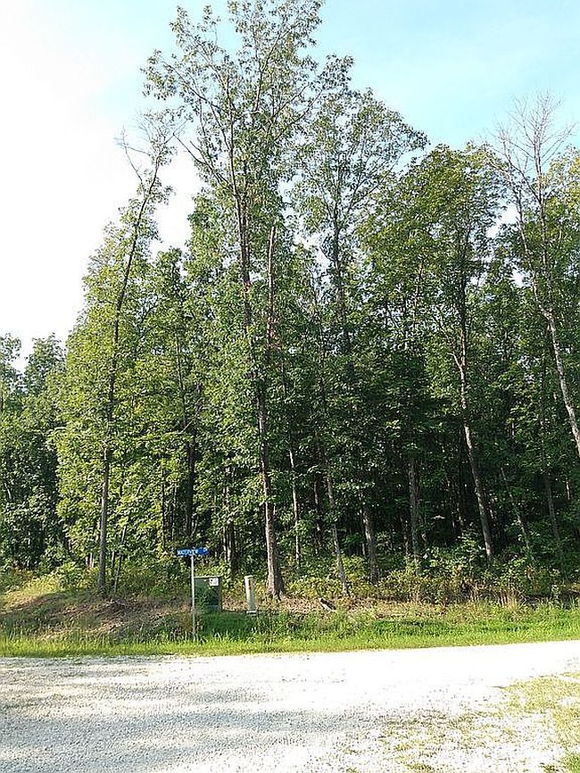 Image of 2946 State Road F Lot 3