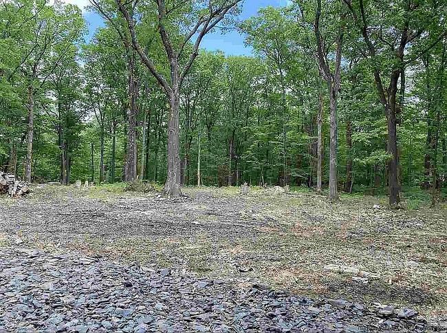 Photo of 716 Upper Mountain Rd, Pine Bush, NY