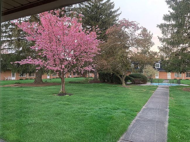 Photo of 999 Renninger Rd Apt 3, New Franklin, OH
