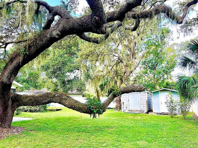 Photo of 8607 Dee Cir, Riverview, FL