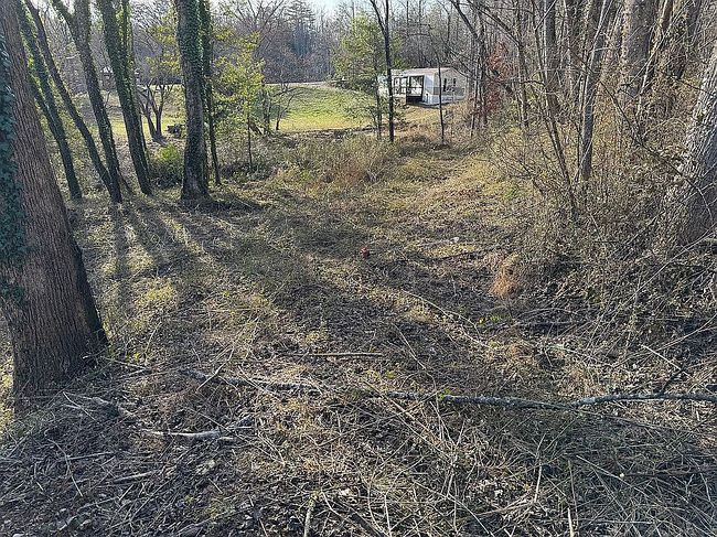Image of 165 Chestnut Cove Rd