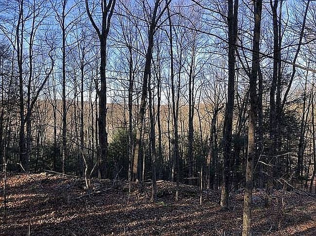 Photo of 19 Bethany Tpke, Honesdale, PA
