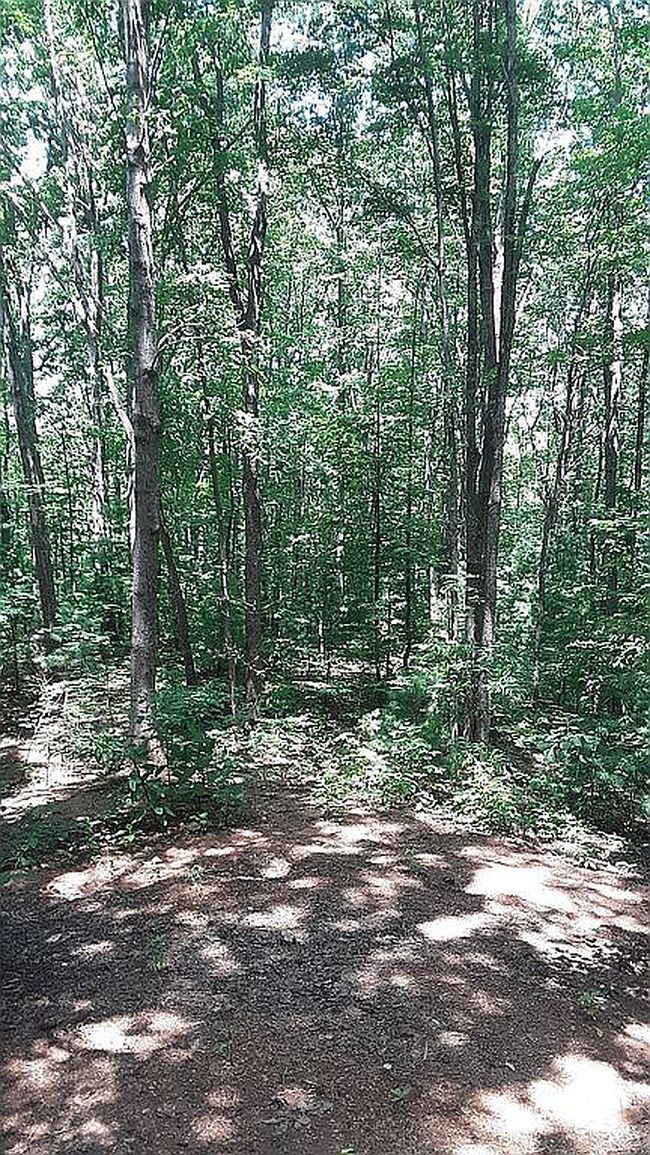 Image of 265 Finger Board Rd